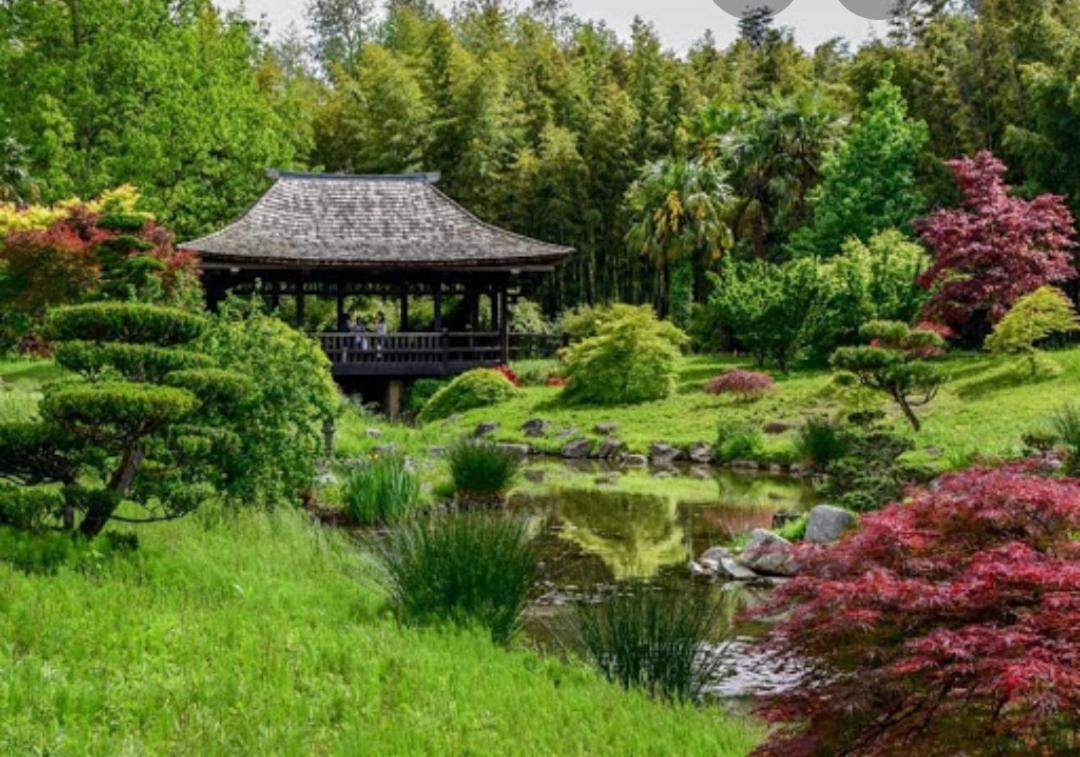 Charmant Chalet Pour 2 Personnes Spa Prive Massillargues-Attuech エクステリア 写真
